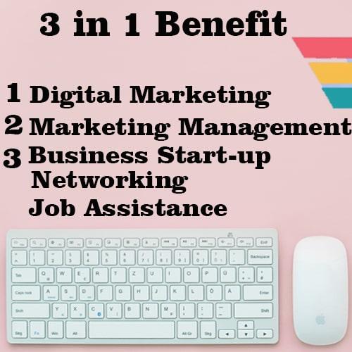 cdm provide all 3 benefits in digital marketing class